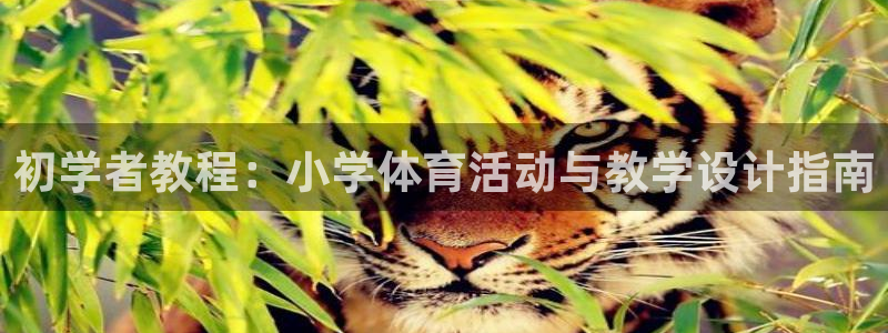 球速体育快人一步：初学者教程：小学体育活动与教学设计指南