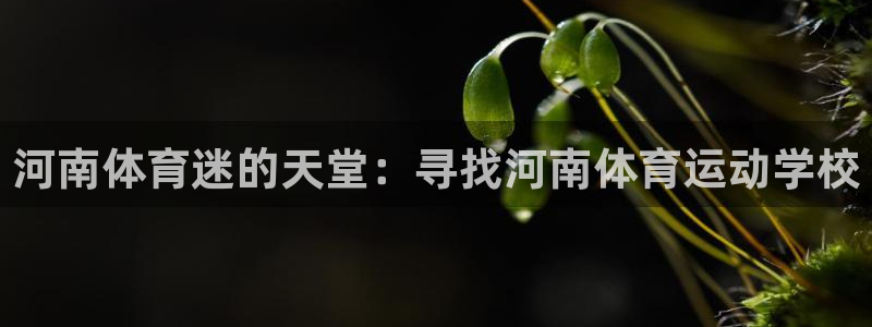 球速体育app(填写)a955 org：河南体育迷的天堂：寻找河南体育运动学校