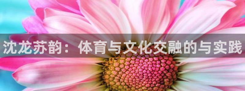 球速体育可以提款吗：沈龙苏韵：体育与文化交融的与实践