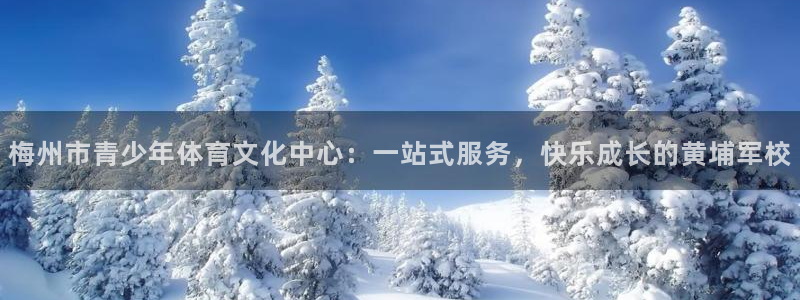球速体育服务器地址：梅州市青少年体育文化中心：一站式服务，快乐成长的黄埔军校