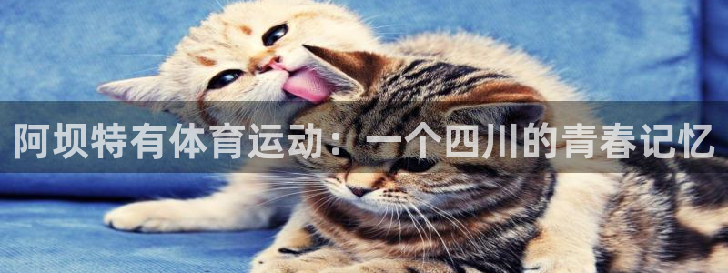球速体育可以提款吗：阿坝特有体育运动：一个四川的青春记忆