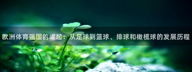 球速体育官网：欧洲体育强国的崛起：从足球到篮球、排球和橄榄球的发展历程