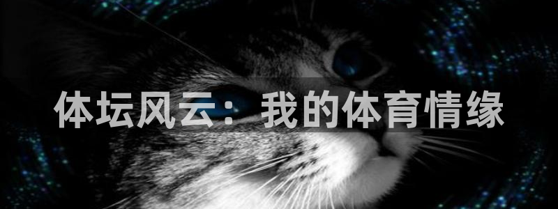 welcome球速体育：体坛风云：我的体育情缘