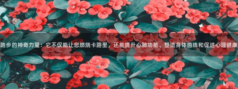 球速体育网页版登录入口：跑步的神奇力量：它不仅能让您燃烧卡路里，还能提升心肺功能、塑造身体曲线和促进心理健康
